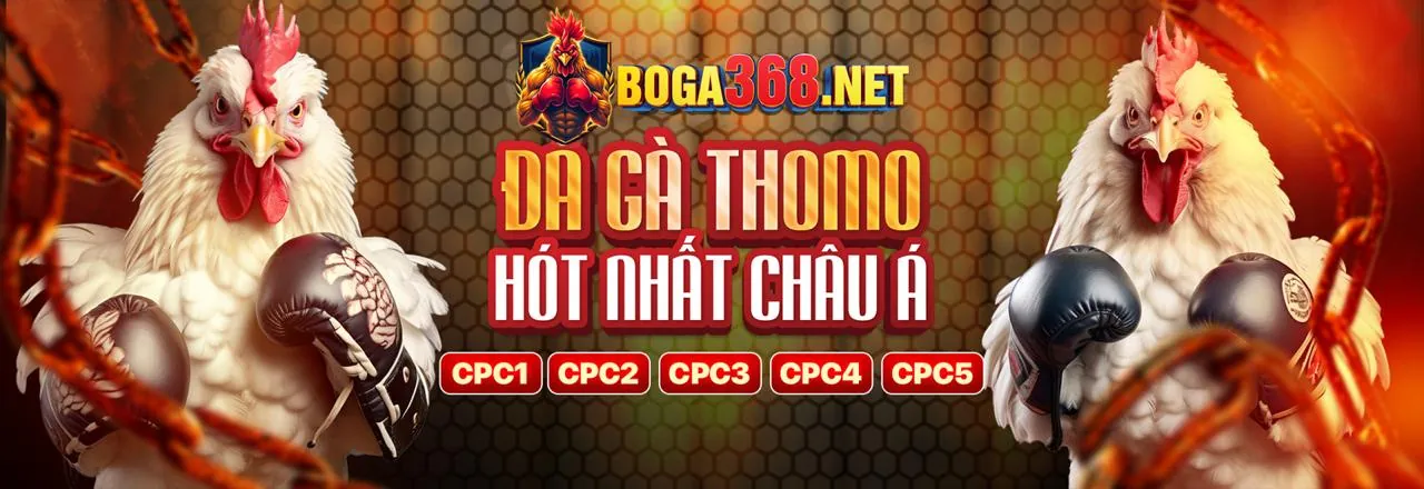 Đá gà truyền thống và cá cược trực tuyến Fbet App