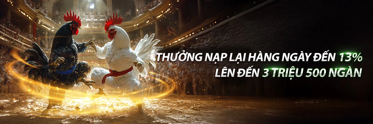 Hình ảnh tổng quan về fbet app - Nền tảng cá cược trực tuyến hàng đầu Việt Nam